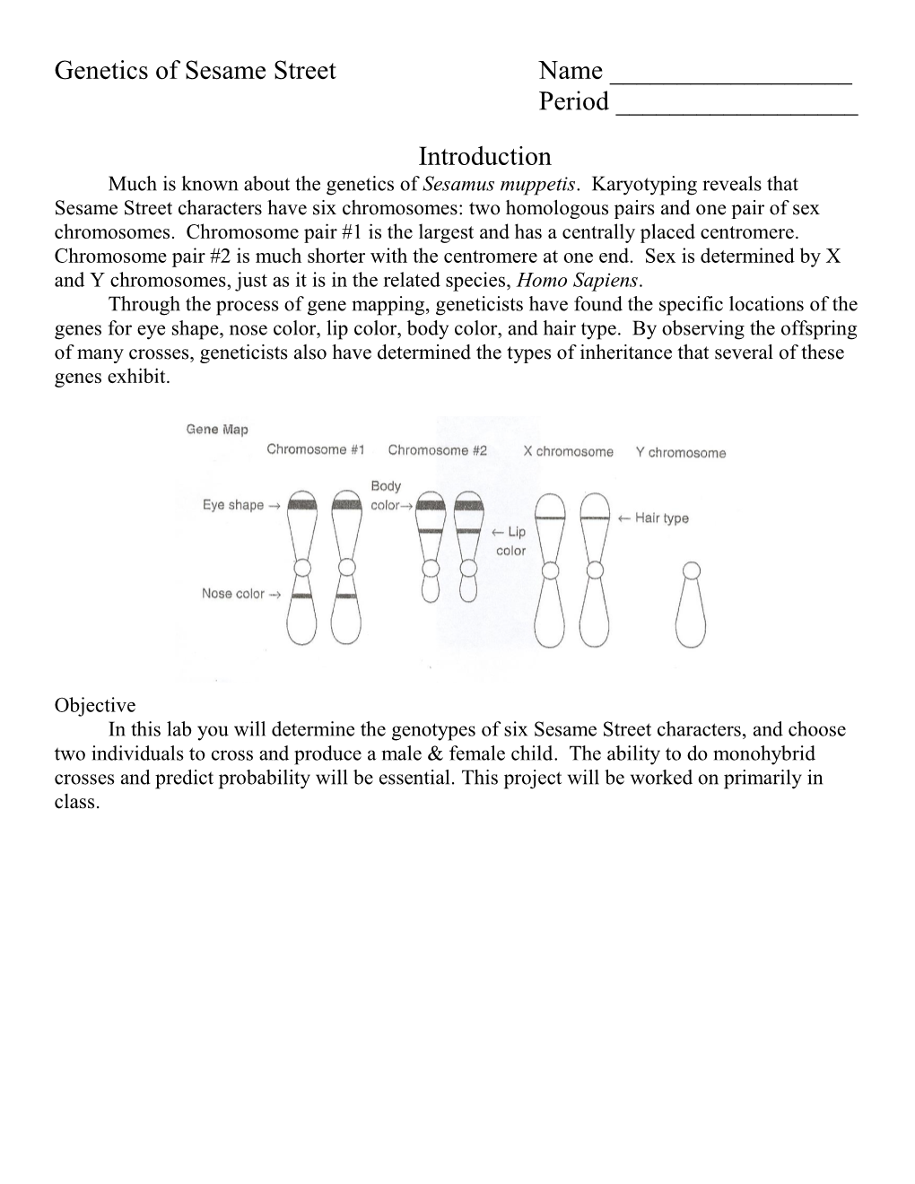 Genetics of Sesame Street Characters Table (Page 3) to Determine the Possible Genotypes for Each of the Sesame Street Characters Based on Each Character’S Phenotypes