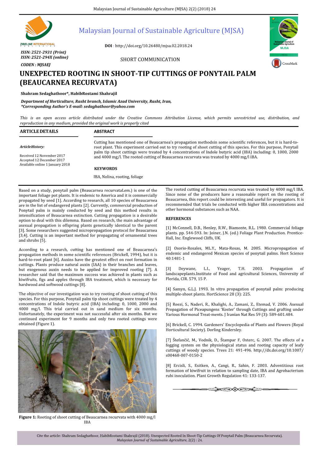 Soil Capability and Suitability Assessment