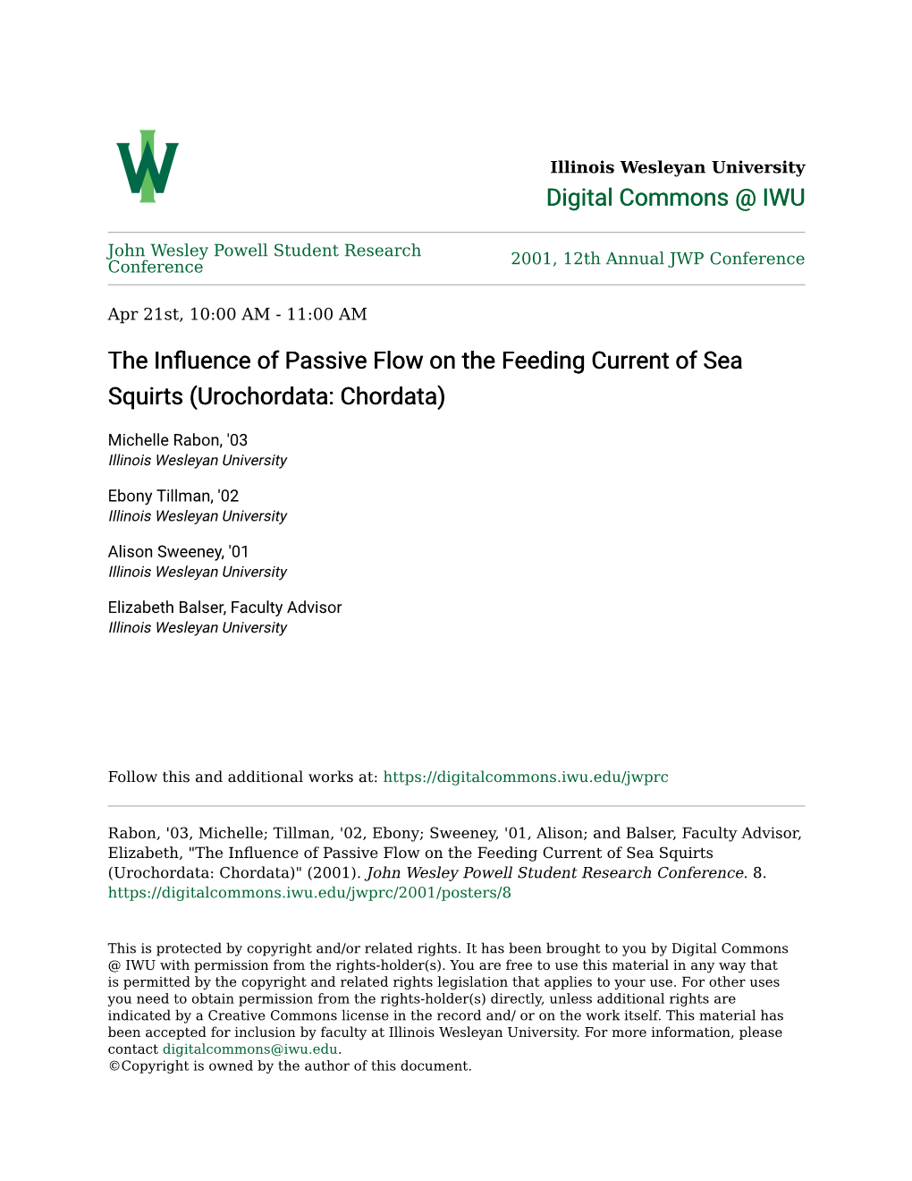 The Influence of Passive Flow on the Feeding Current of Sea Squirts