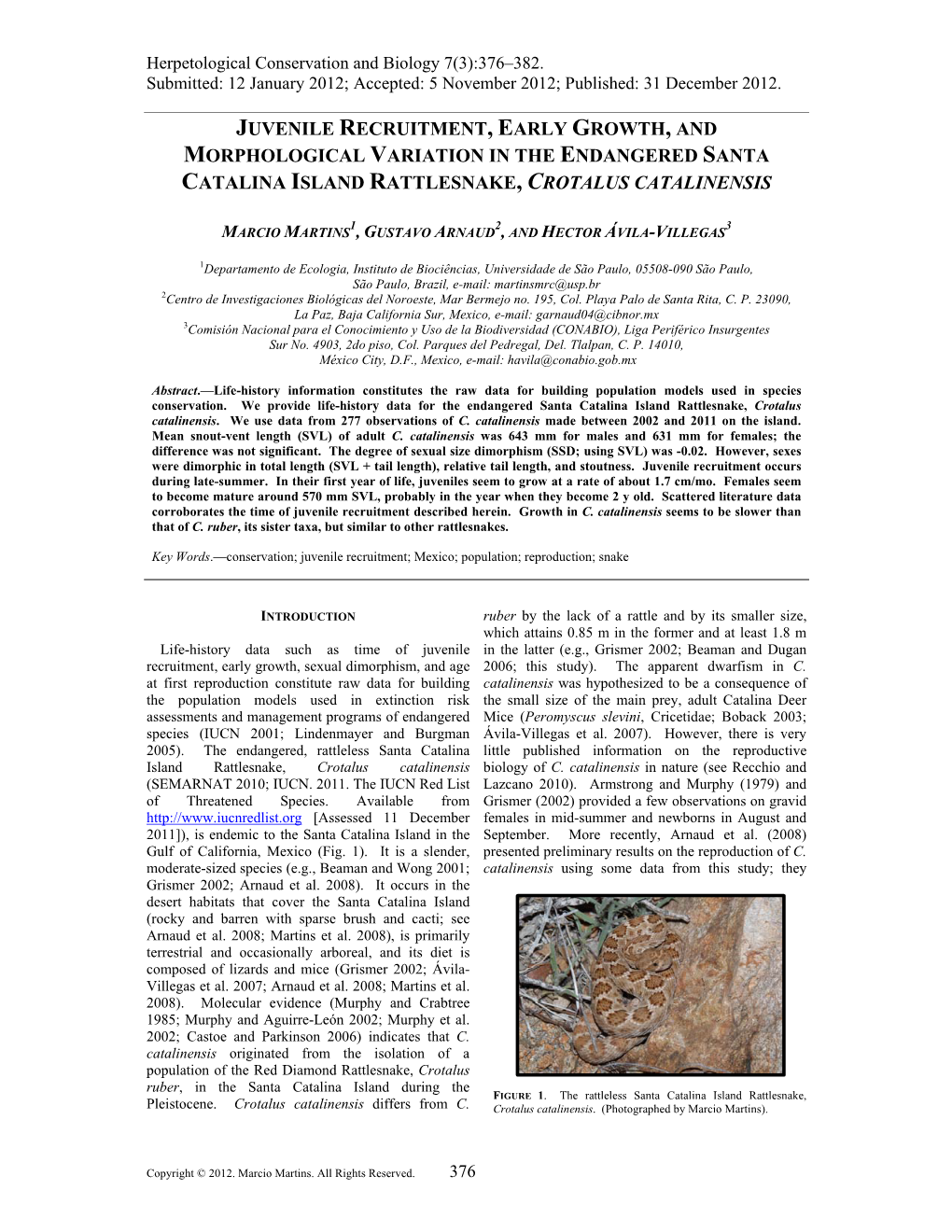 Juvenile Recruitment, Early Growth, and Morphological Variation in the Endangered Santa Catalina Island Rattlesnake, Crotalus Catalinensis