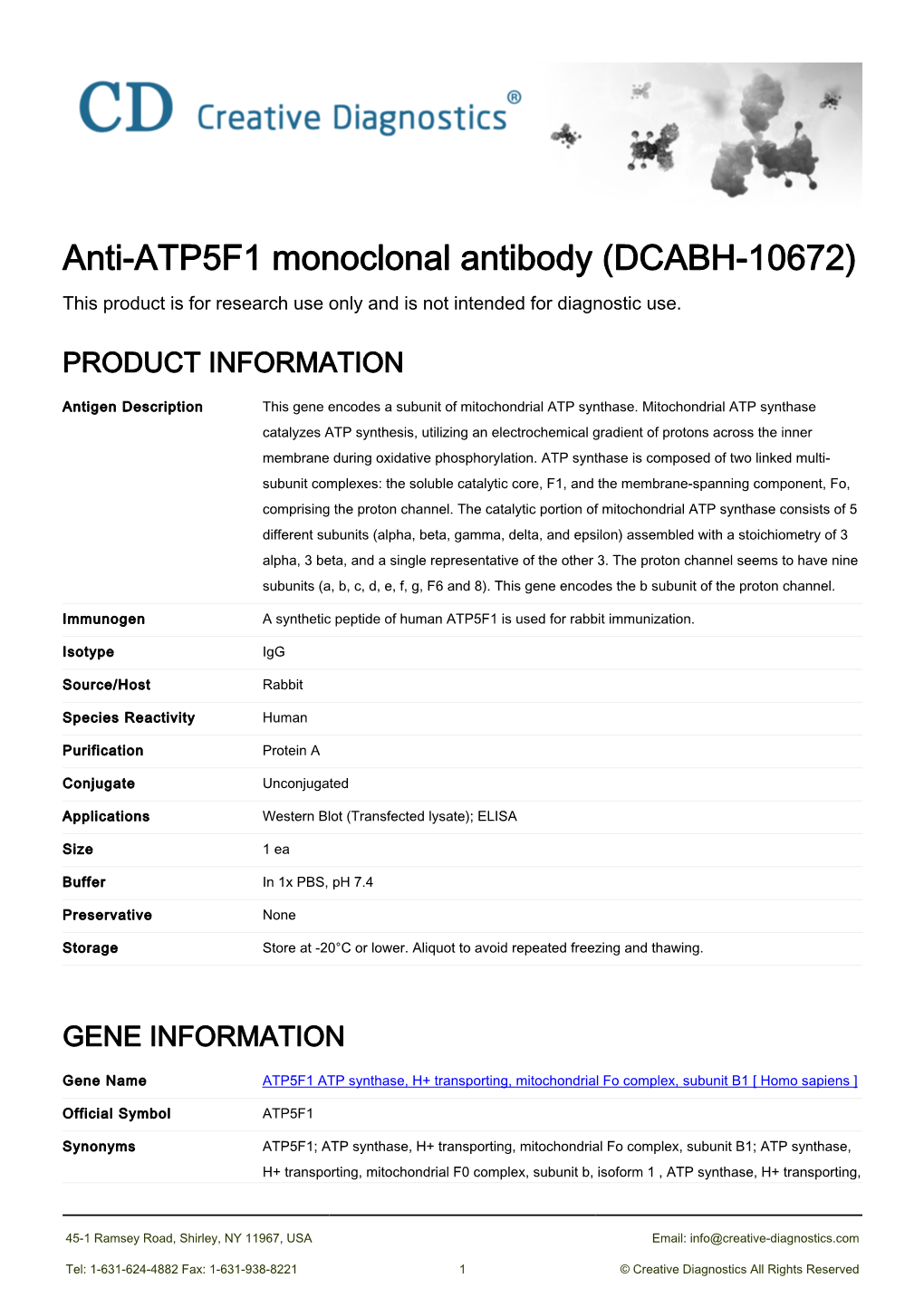 Anti-ATP5F1 Monoclonal Antibody (DCABH-10672) This Product Is for Research Use Only and Is Not Intended for Diagnostic Use