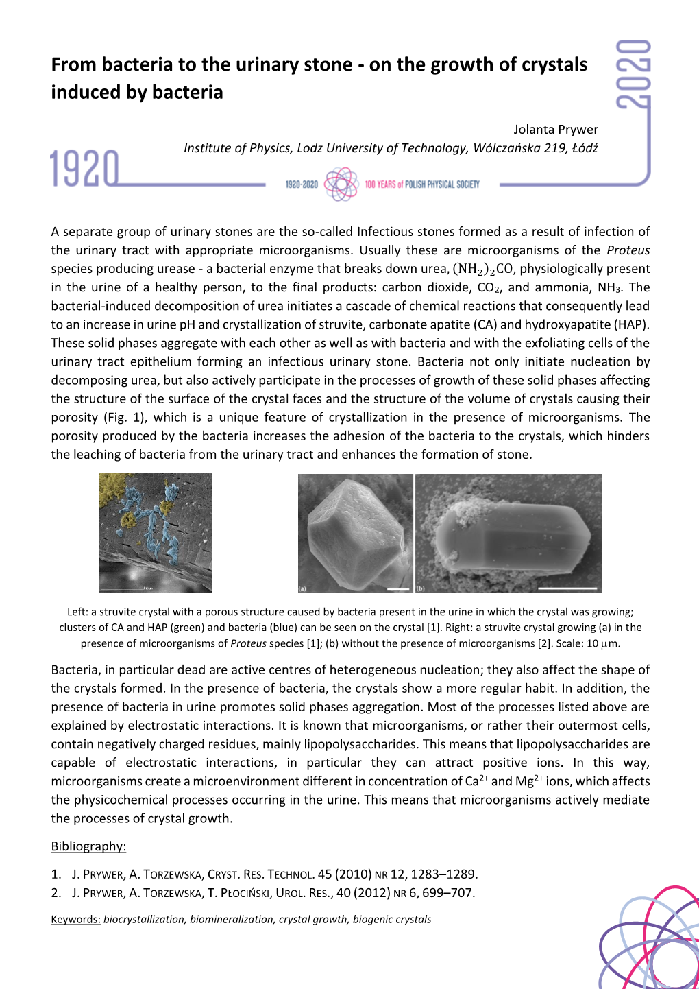 From Bacteria to the Urinary Stone - on the Growth of Crystals Induced by Bacteria