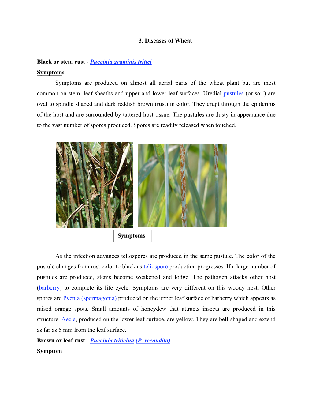 3. Diseases of Wheat Black Or Stem Rust