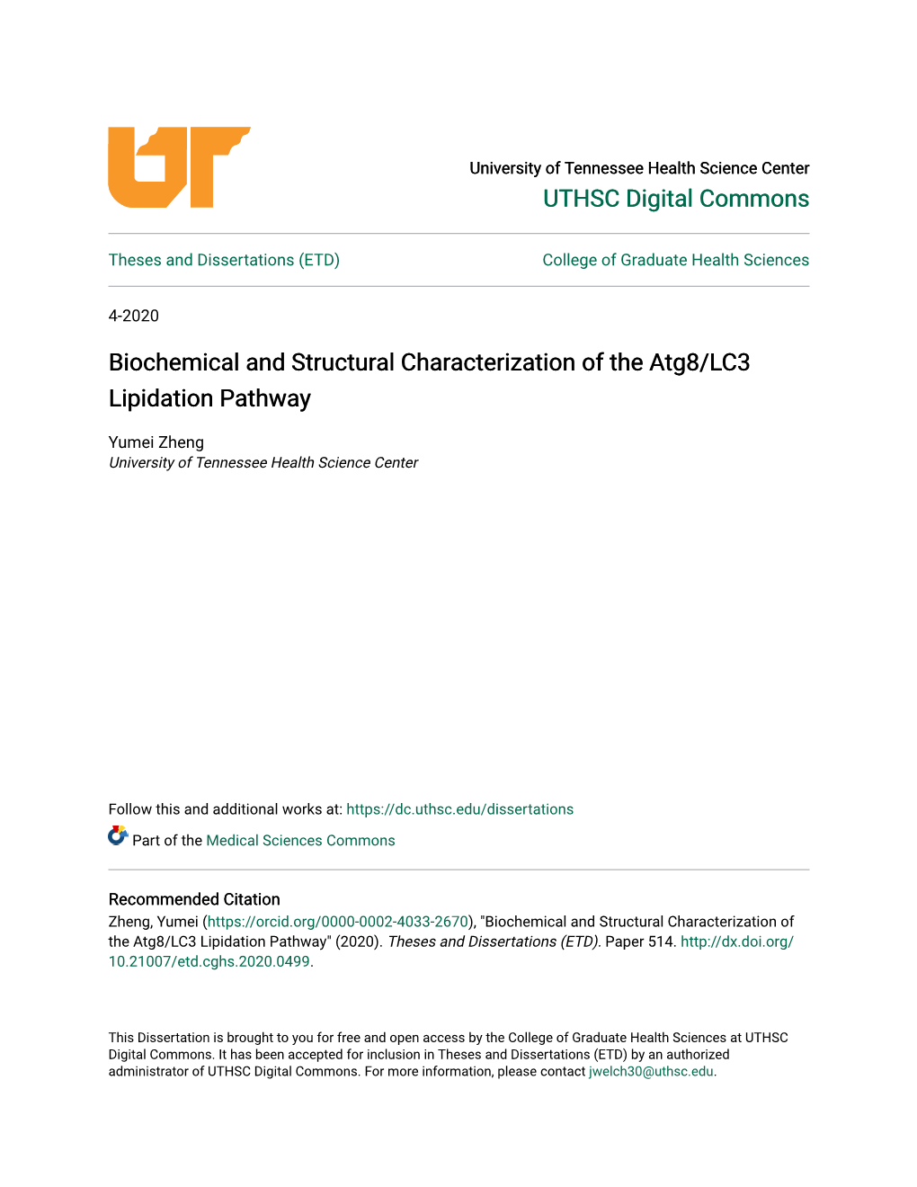 Biochemical and Structural Characterization of the Atg8/LC3 Lipidation Pathway