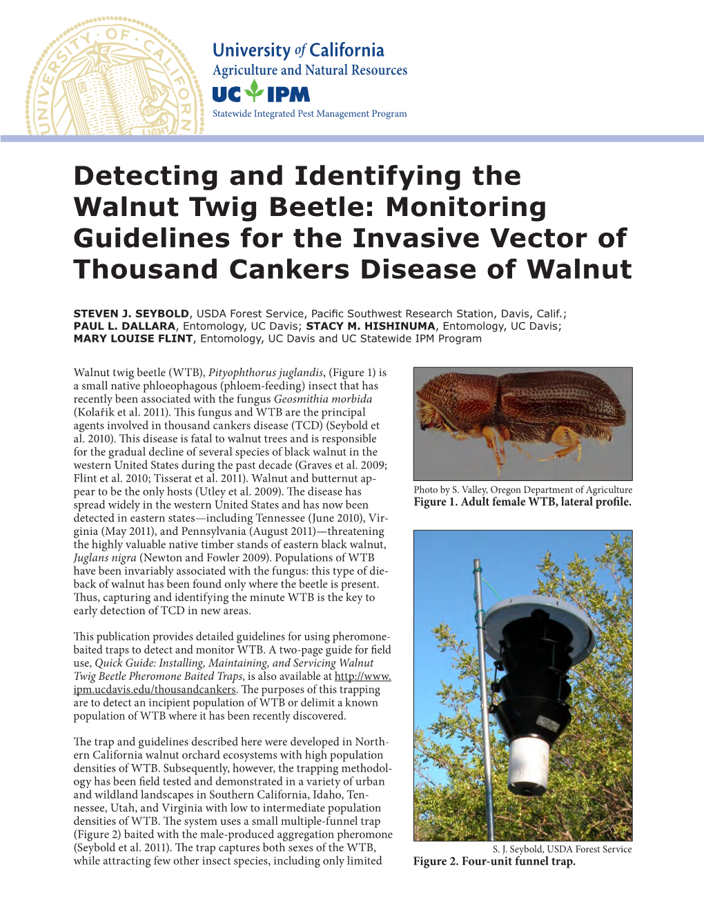 Detecting and Identifying the Walnut Twig Beetle: Monitoring Guidelines for the Invasive Vector of Thousand Cankers Disease of Walnut