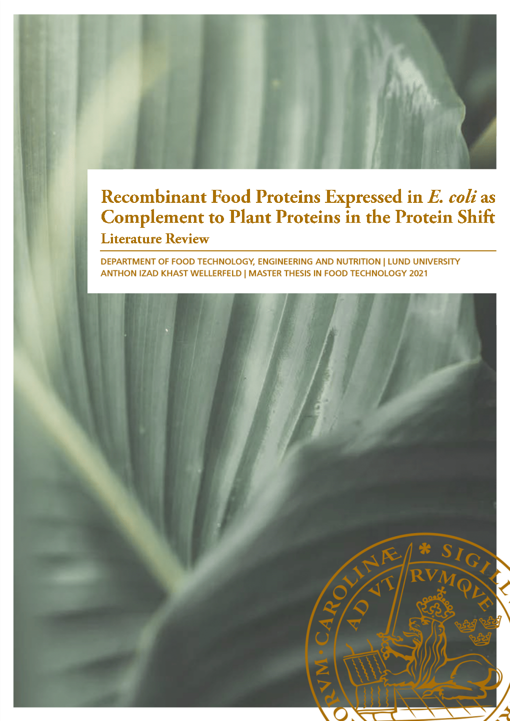 E. Coli As Complement to Plant Proteins in the Protein Shift Literature Review