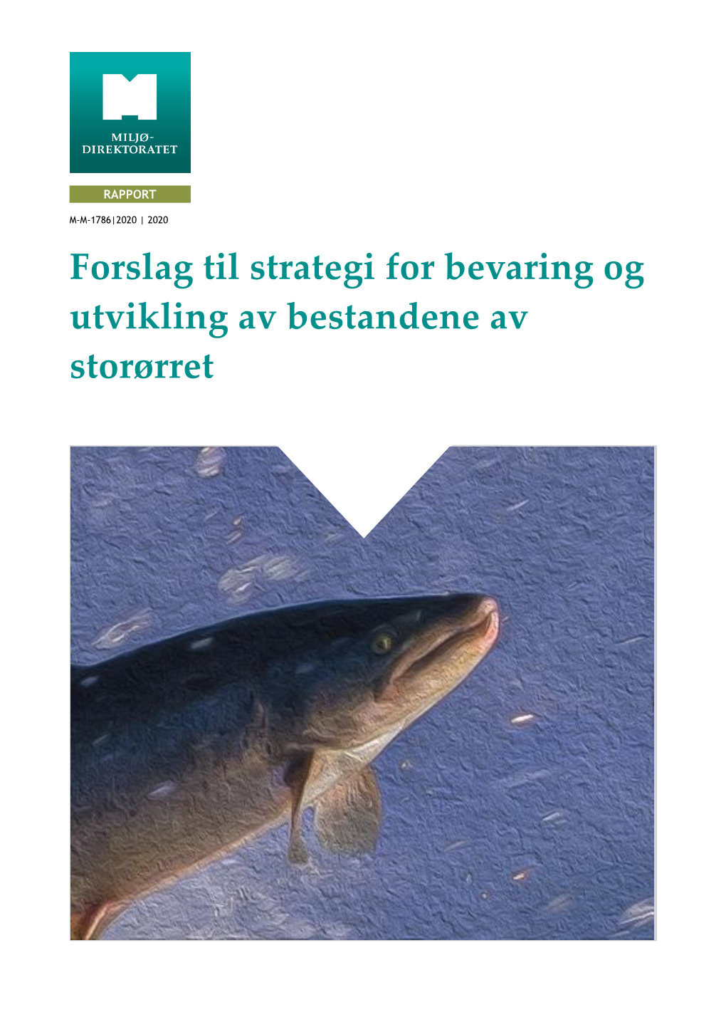 Forslag Til Strategi for Bevaring Og Utvikling Av Bestandene Av Storørret