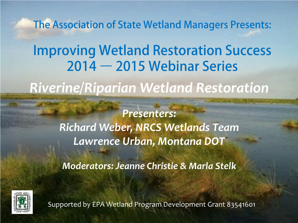 Riverine/Riparian Wetland Restoration