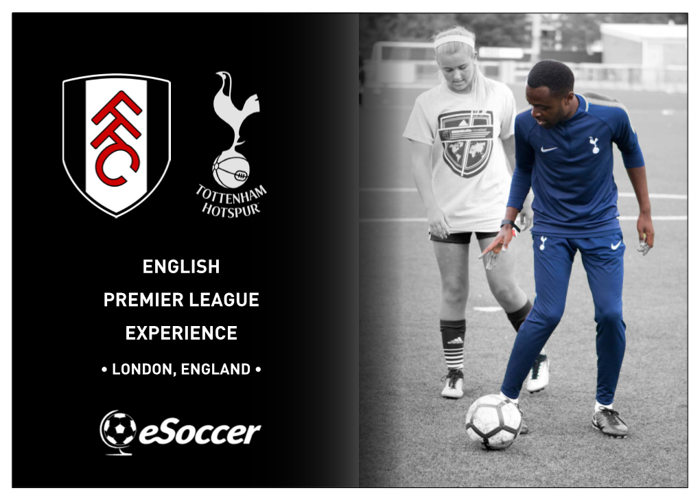 English Premier League Experience