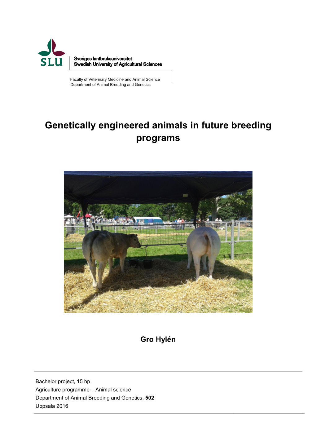 Genetically Engineered Animals in Future Breeding Programs