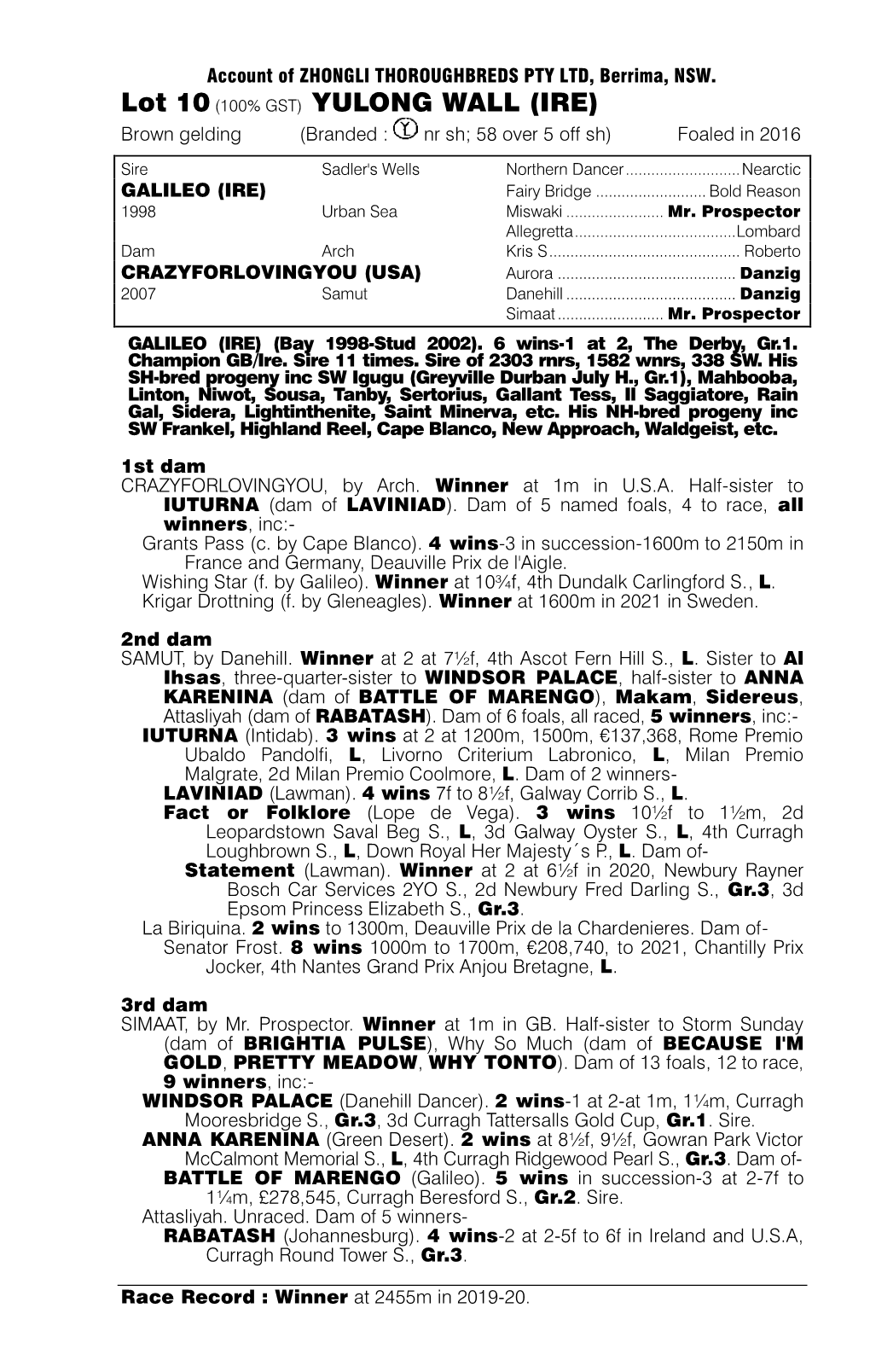 IRE) Brown Gelding (Branded : Nr Sh; 58 Over 5 Off Sh) Foaled in 2016