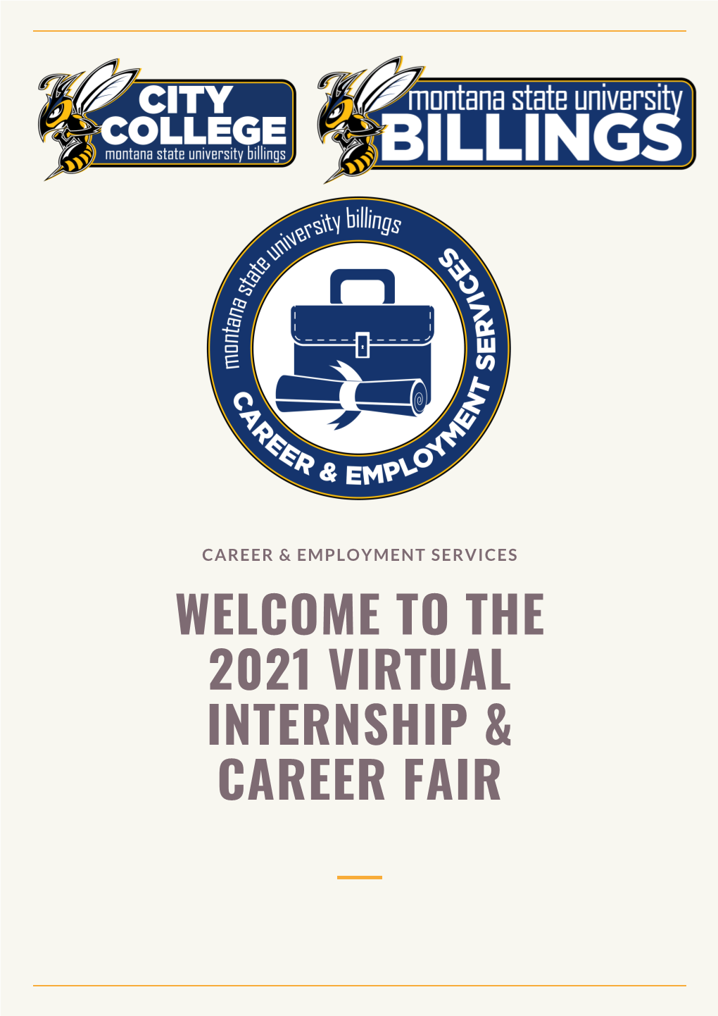 The 2021 Virtual Internship & Career Fair