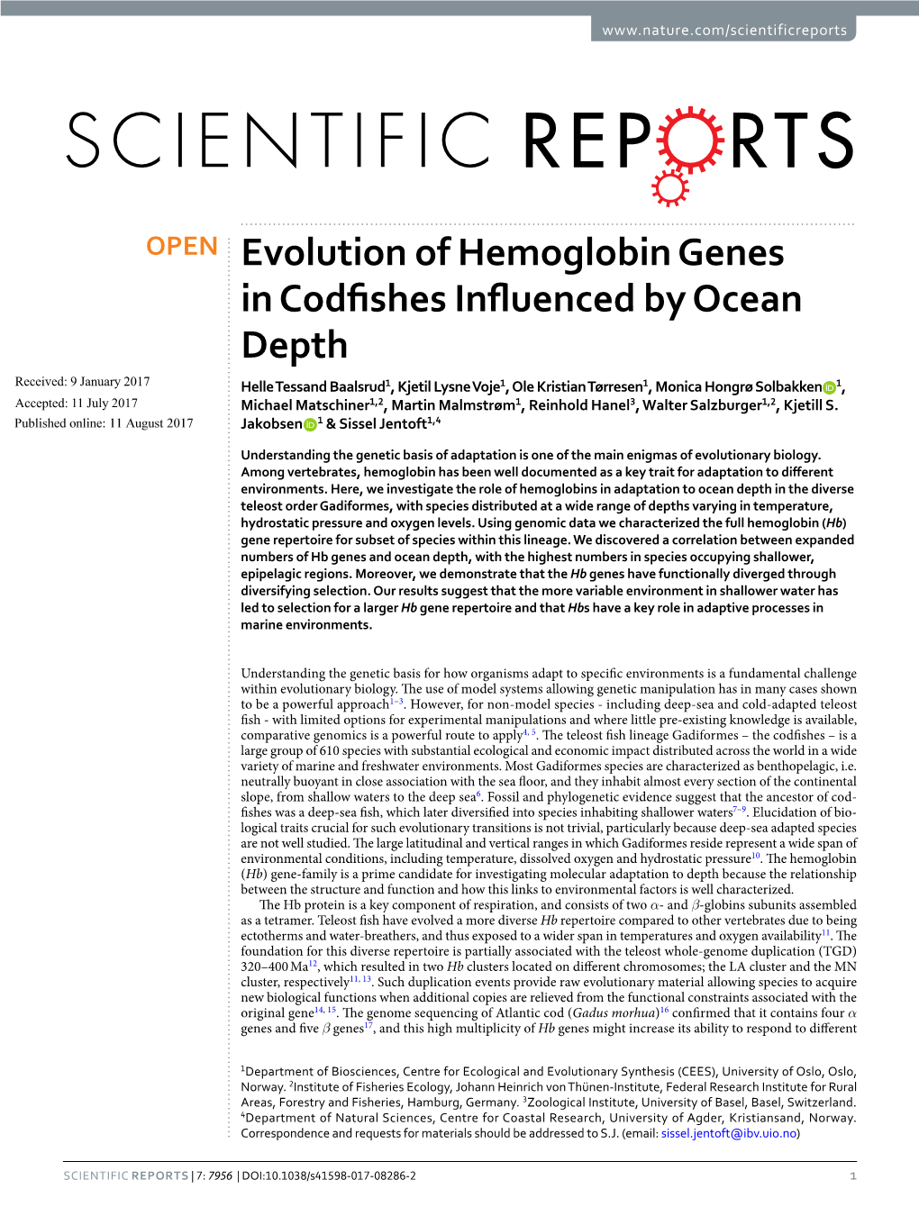 Evolution of Hemoglobin Genes In