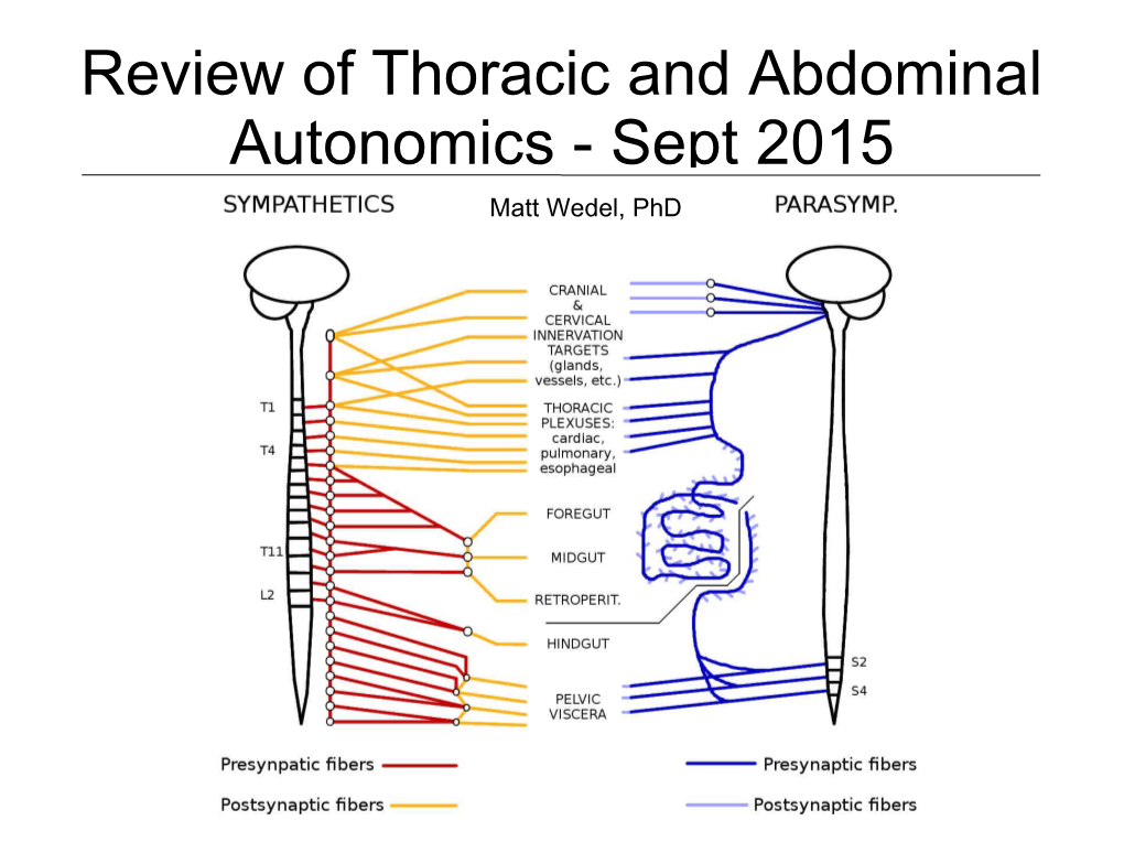 Review of Thoracic and Abdominal Autonomics - Sept 2015 Matt Wedel, Phd