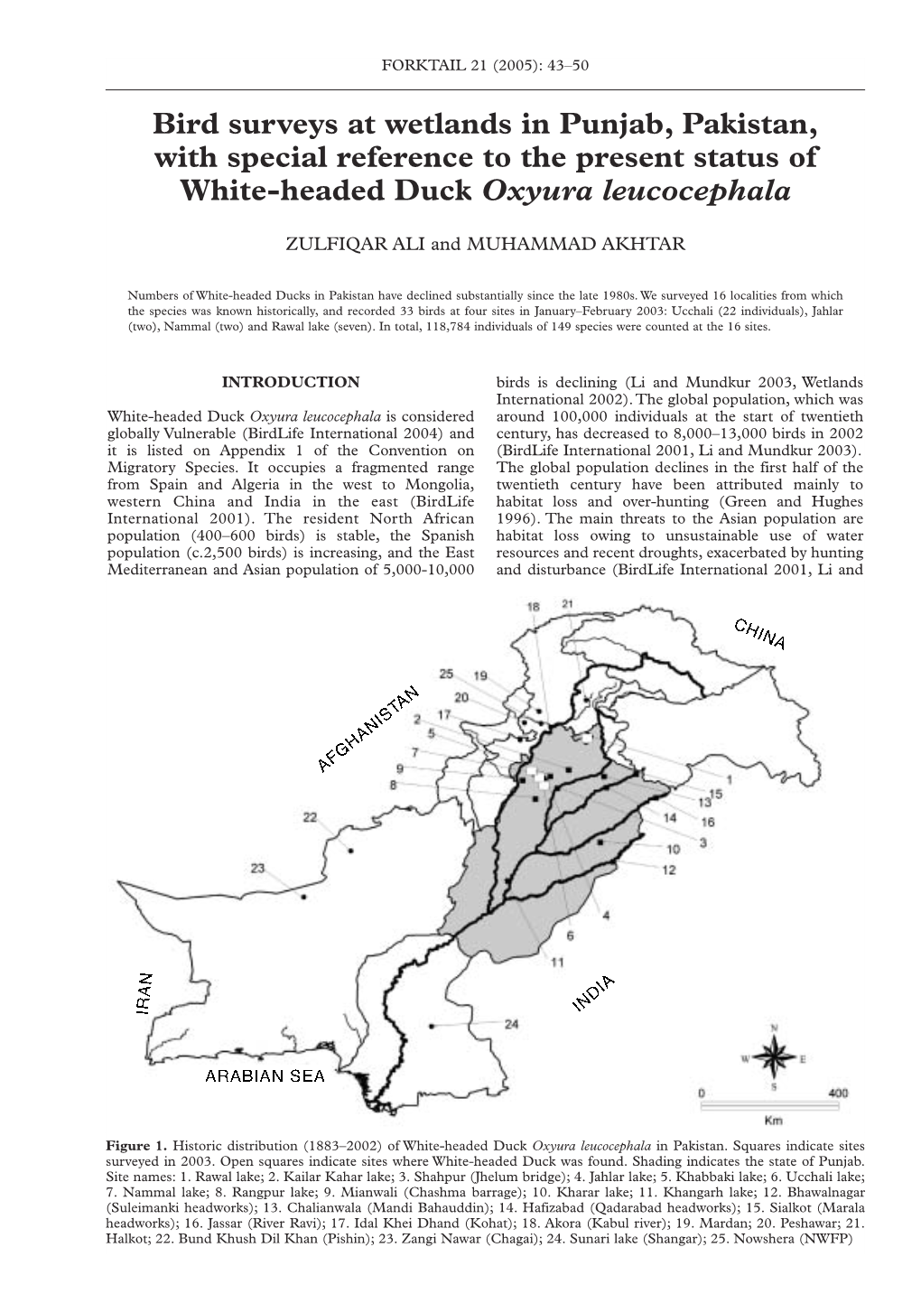 Bird Surveys at Wetlands in Punjab, Pakistan, with Special Reference to the Present Status of White-Headed Duck Oxyura Leucocephala