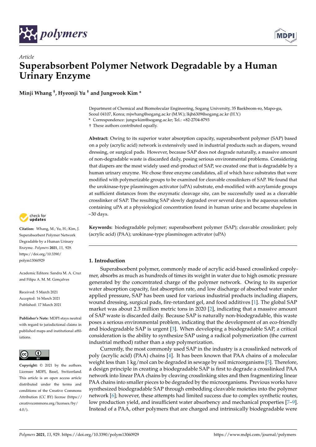 Superabsorbent Polymer Network Degradable by a Human Urinary Enzyme