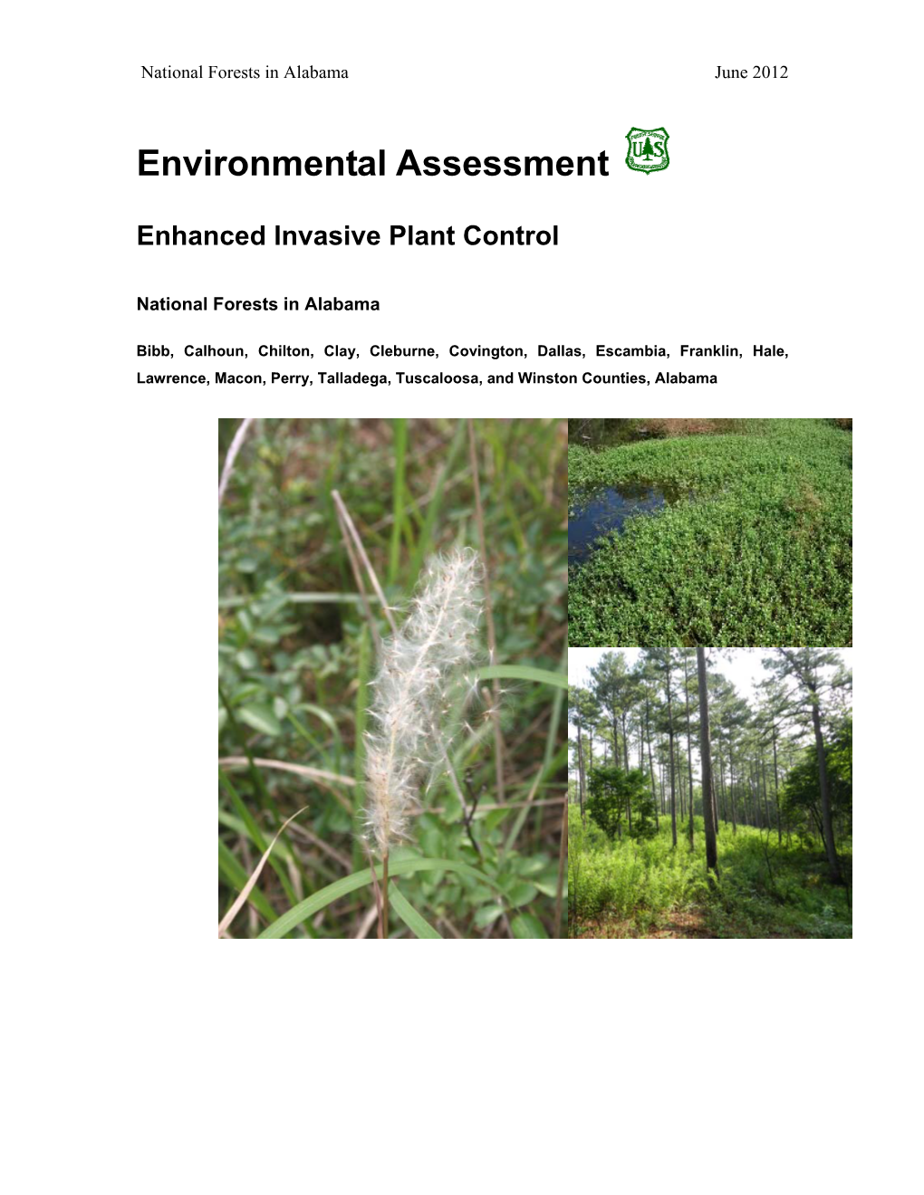 Environmental Assessment