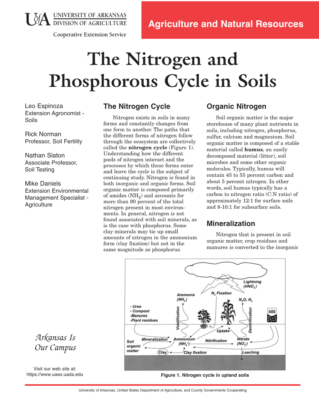 The Nitrogen and Phosphorous Cycle in Soils