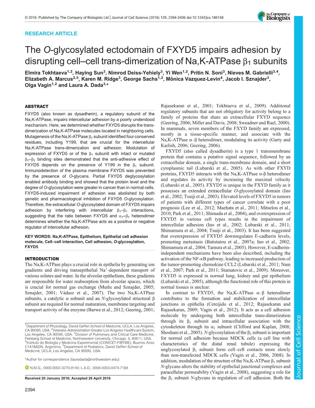 The O-Glycosylated Ectodomain of FXYD5 Impairs Adhesion By