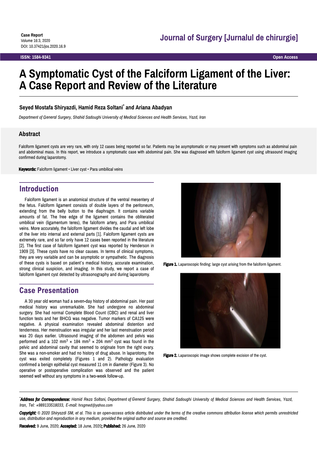 A Symptomatic Cyst of the Falciform Ligament of the Liver: a Case Report and Review of the Literature