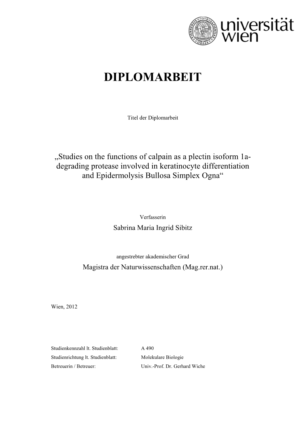 Diplomarbeit Sabrina Sibitz