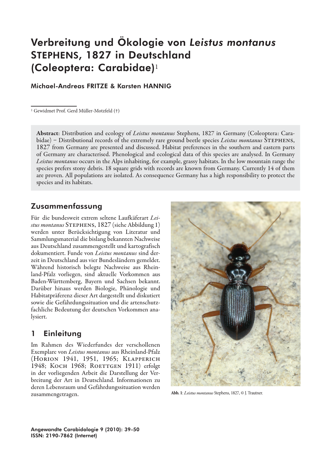 Coleoptera: Carabidae)1