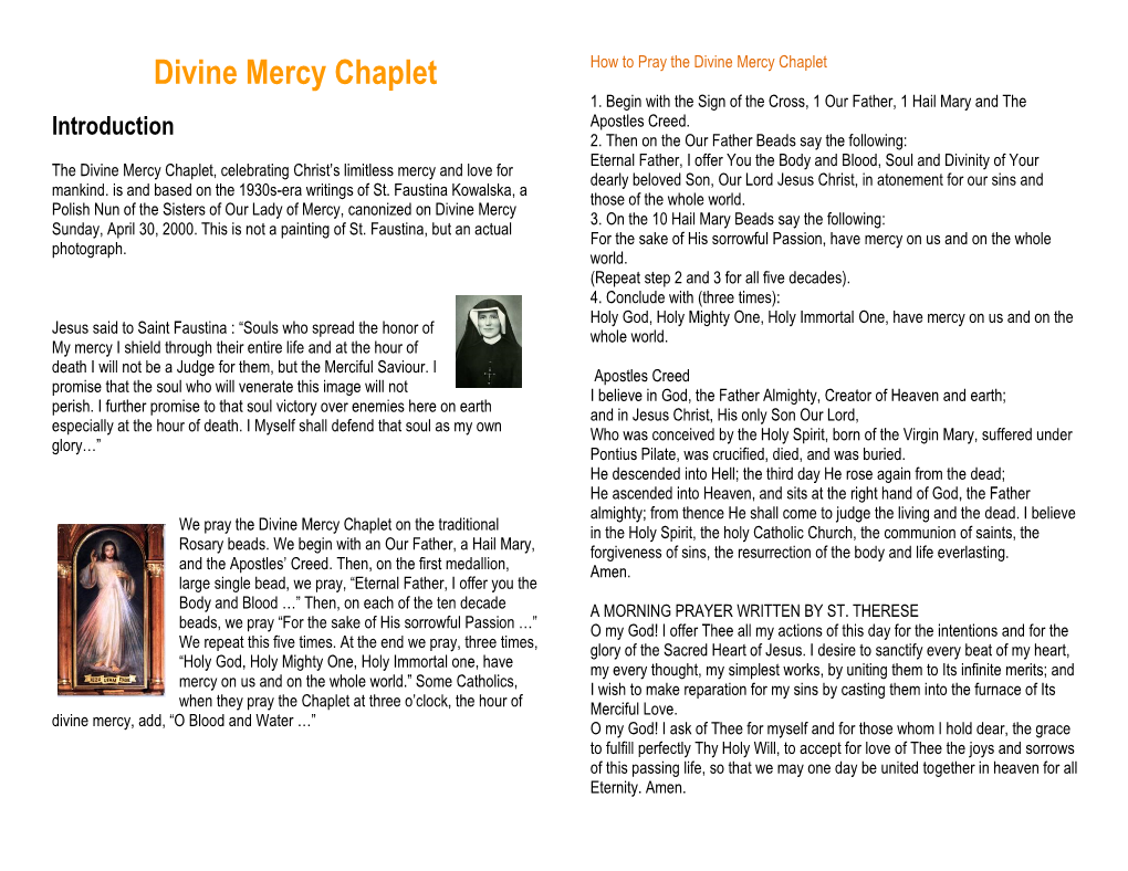 Divine Mercy Chaplet How to Pray the Divine Mercy Chaplet 1