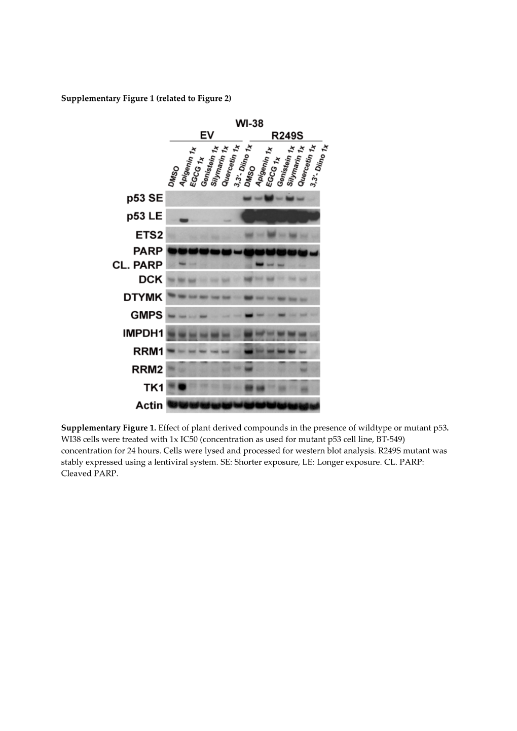 Supplementary Figure 1. Effect of Plant Derived Compounds in the Presence of Wildtype Or Mutant P53