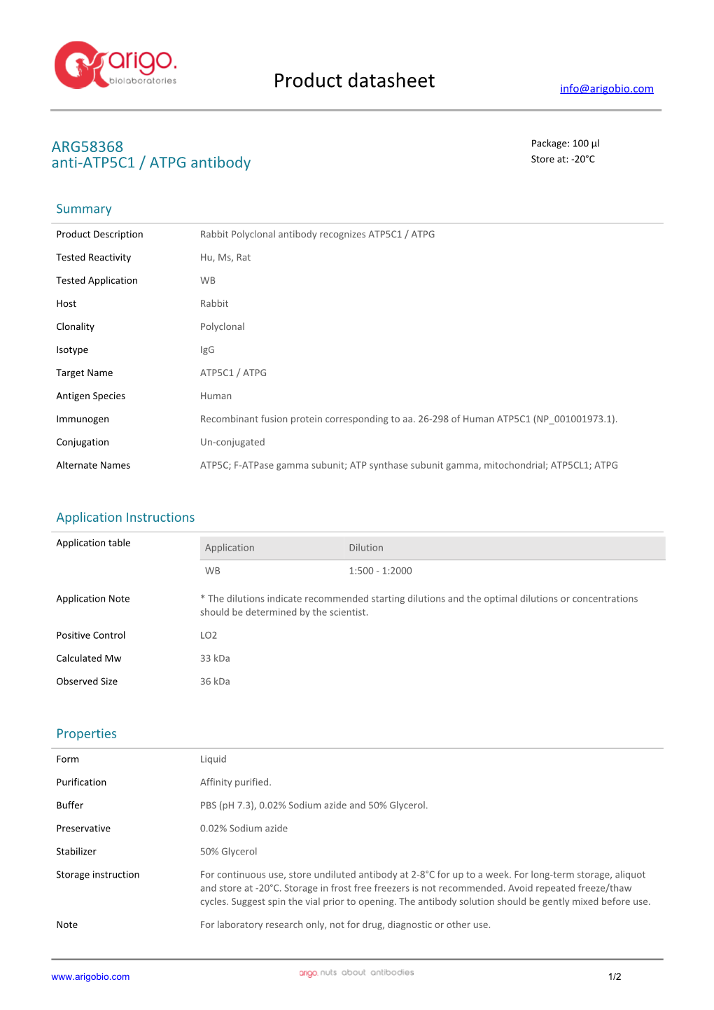 Anti-ATP5C1 / ATPG Antibody (ARG58368)