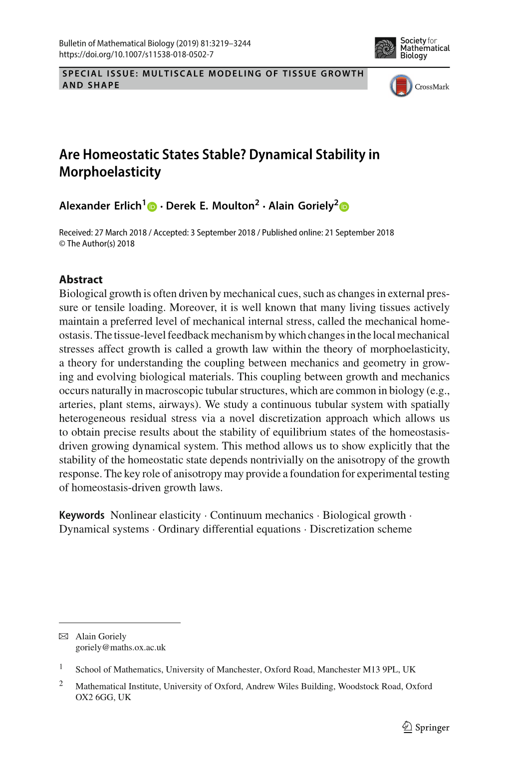 Are Homeostatic States Stable? Dynamical Stability in Morphoelasticity