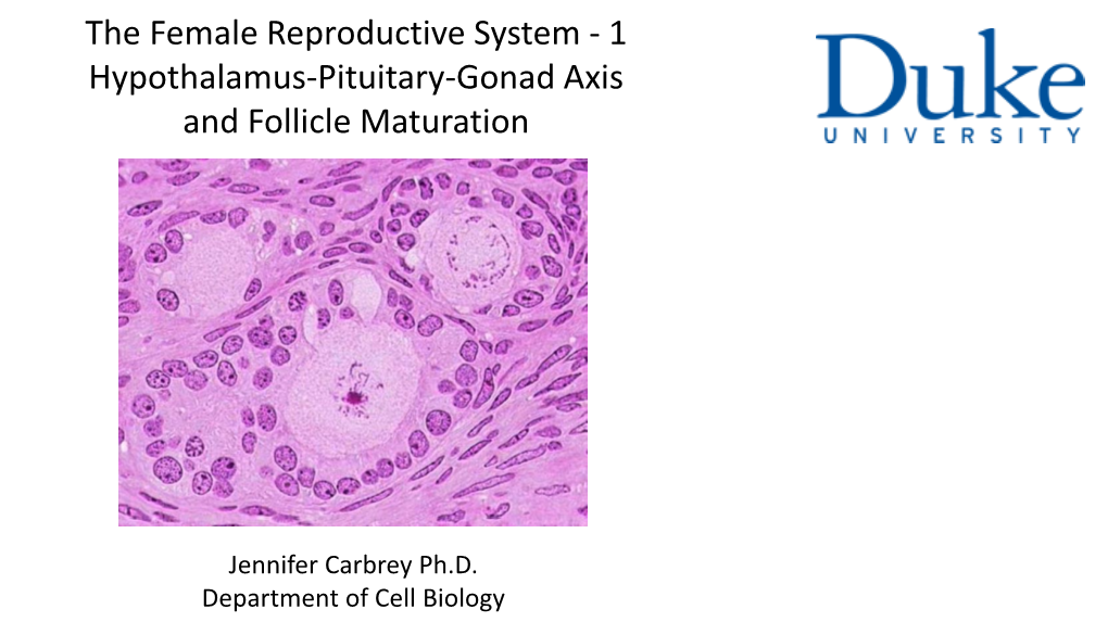 1 Hypothalamus-Pituitary-Gonad Axis and Follicle Maturation