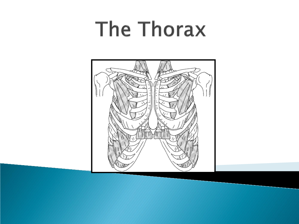 The Pericardium Posteriorly