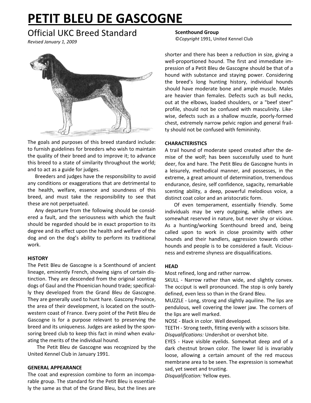 PETIT BLEU DE GASCOGNE Official UKC Breed Standard Scenthound Group ©Copyright 1991, United Kennel Club Revised January 1, 2009