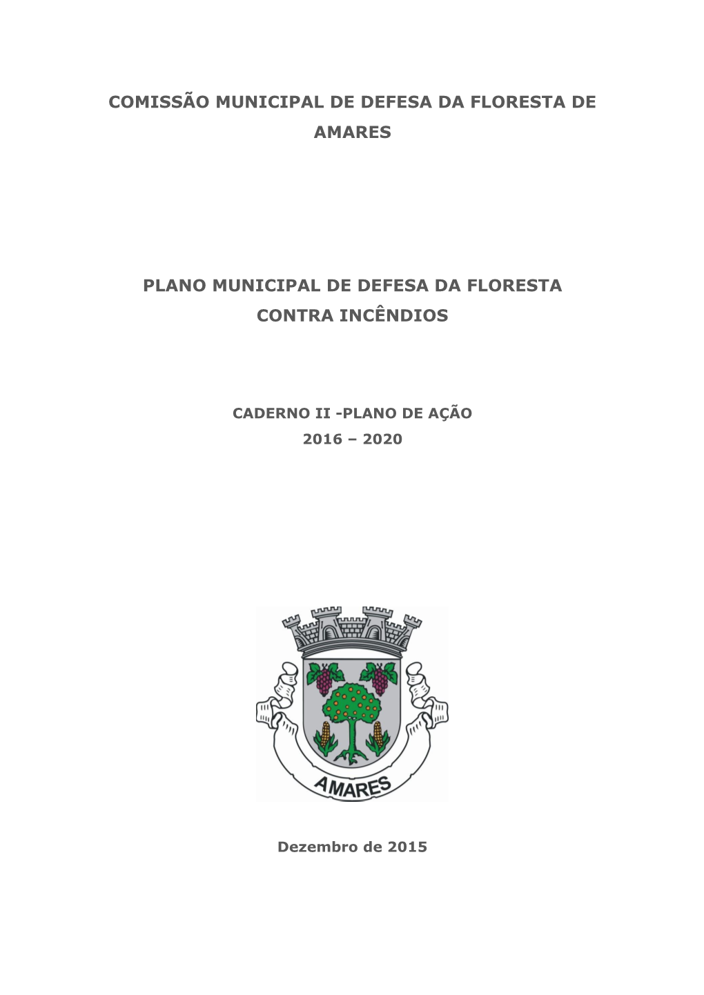 Comissão Municipal De Defesa Da Floresta De Amares Plano Municipal