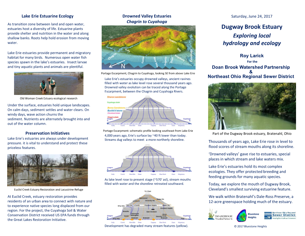 Dugway Brook Estuary Provide Shelter and Nutrition in the Water and Along Shallow Banks