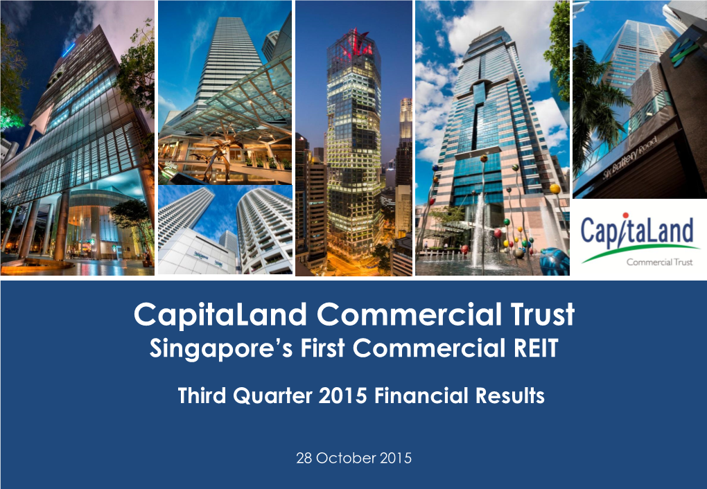 Capitaland Group Presentation Template