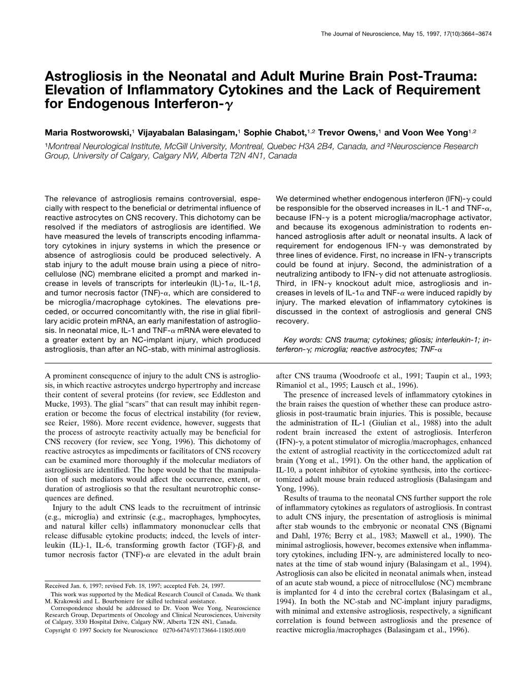 Astrogliosis in the Neonatal and Adult Murine Brain Post-Trauma: Elevation of Inﬂammatory Cytokines and the Lack of Requirement for Endogenous Interferon-␥