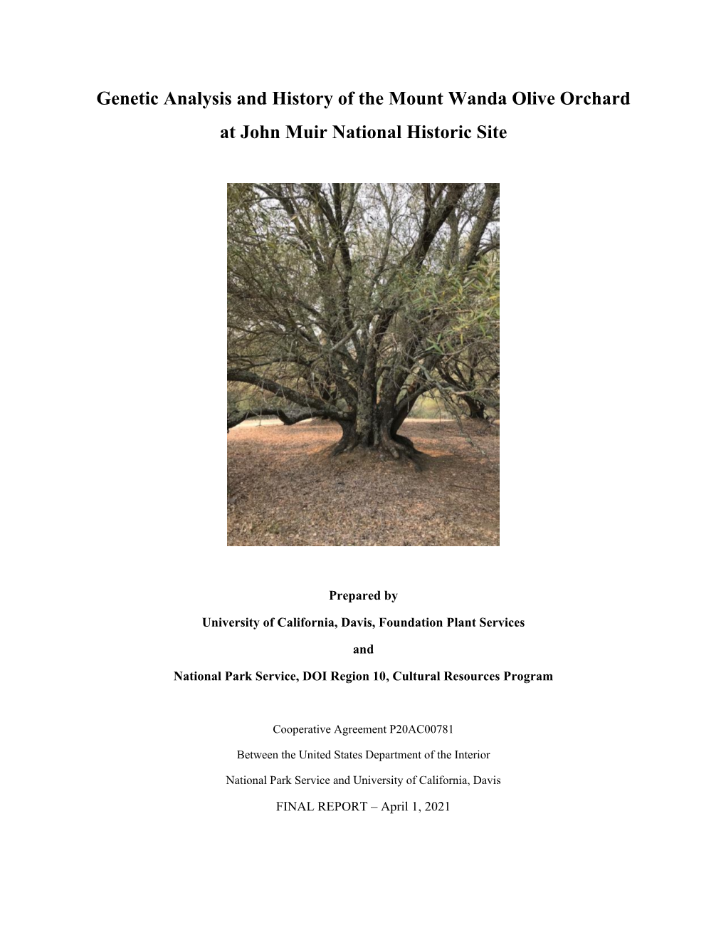 Genetic Analysis and History of the Mount Wanda Olive Orchard at John Muir National Historic Site