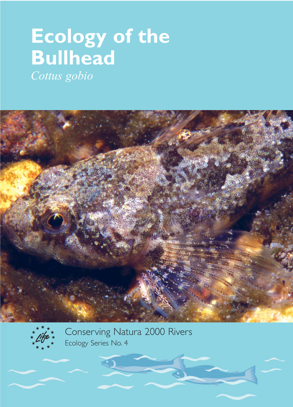 Ecology of the Bullhead Cottus Gobio