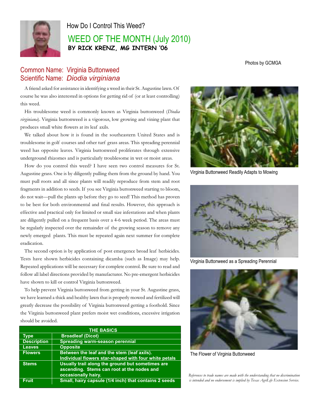 WEED of the MONTH (July 2010) by Rick Krenz, MG Intern ‘06