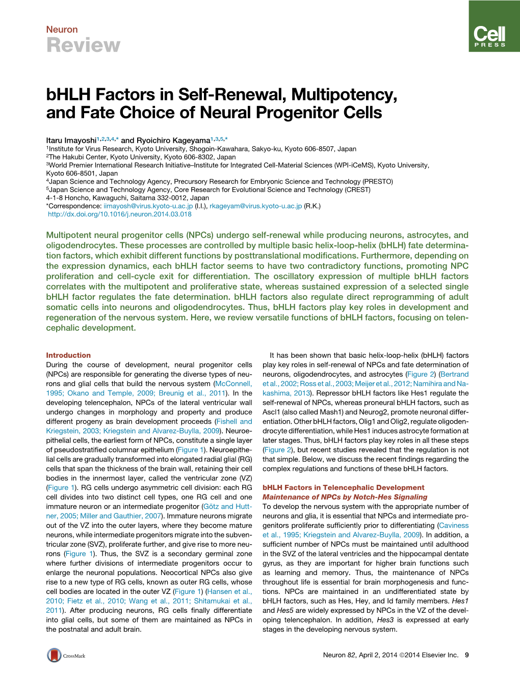 Bhlh Factors in Self-Renewal, Multipotency, and Fate Choice Of