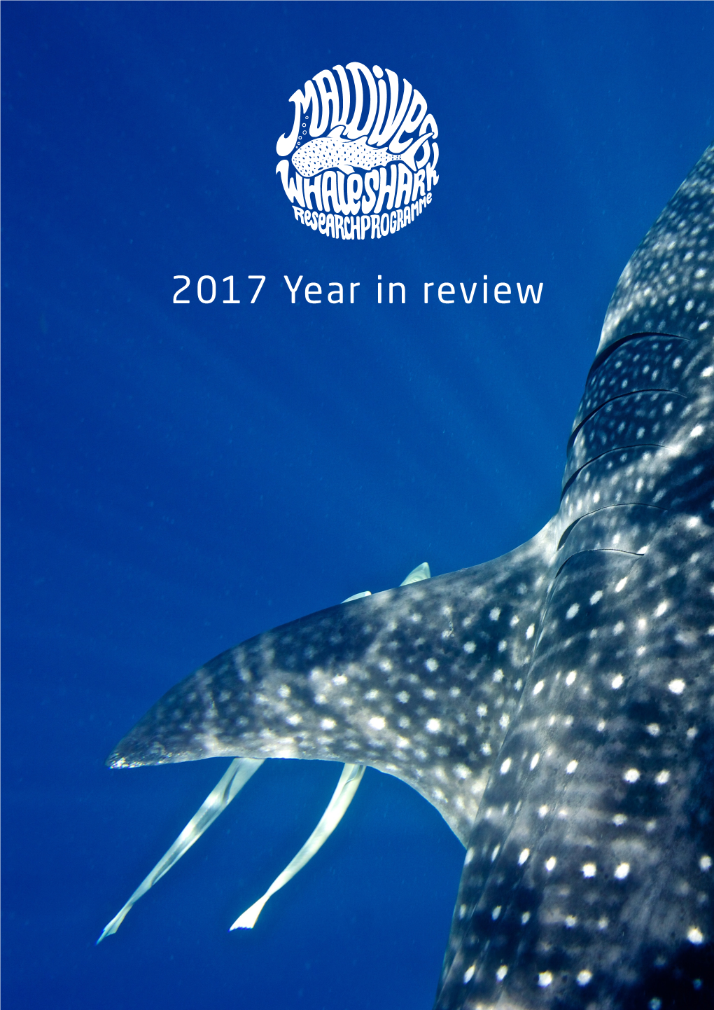 2017 Year in Review 2