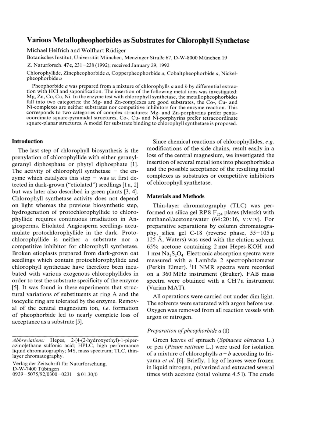 Various Metallopheophorbides As Substrates for Chlorophyll Synthetase