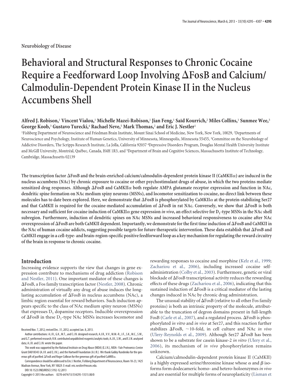 Calmodulin-Dependent Protein Kinase II in the Nucleus Accumbens Shell