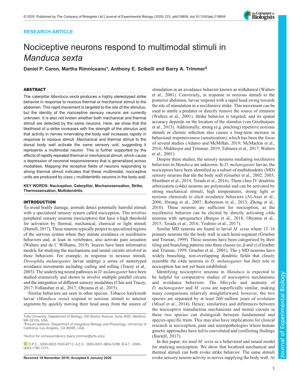 Nociceptive Neurons Respond to Multimodal Stimuli in Manduca Sexta Daniel P