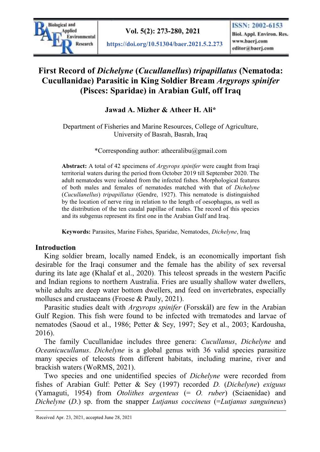 (Nematoda: Cucullanidae) Parasitic in King Soldier Bream Argyrops Spinifer (Pisces: Sparidae) in Arabian Gulf, Off Iraq