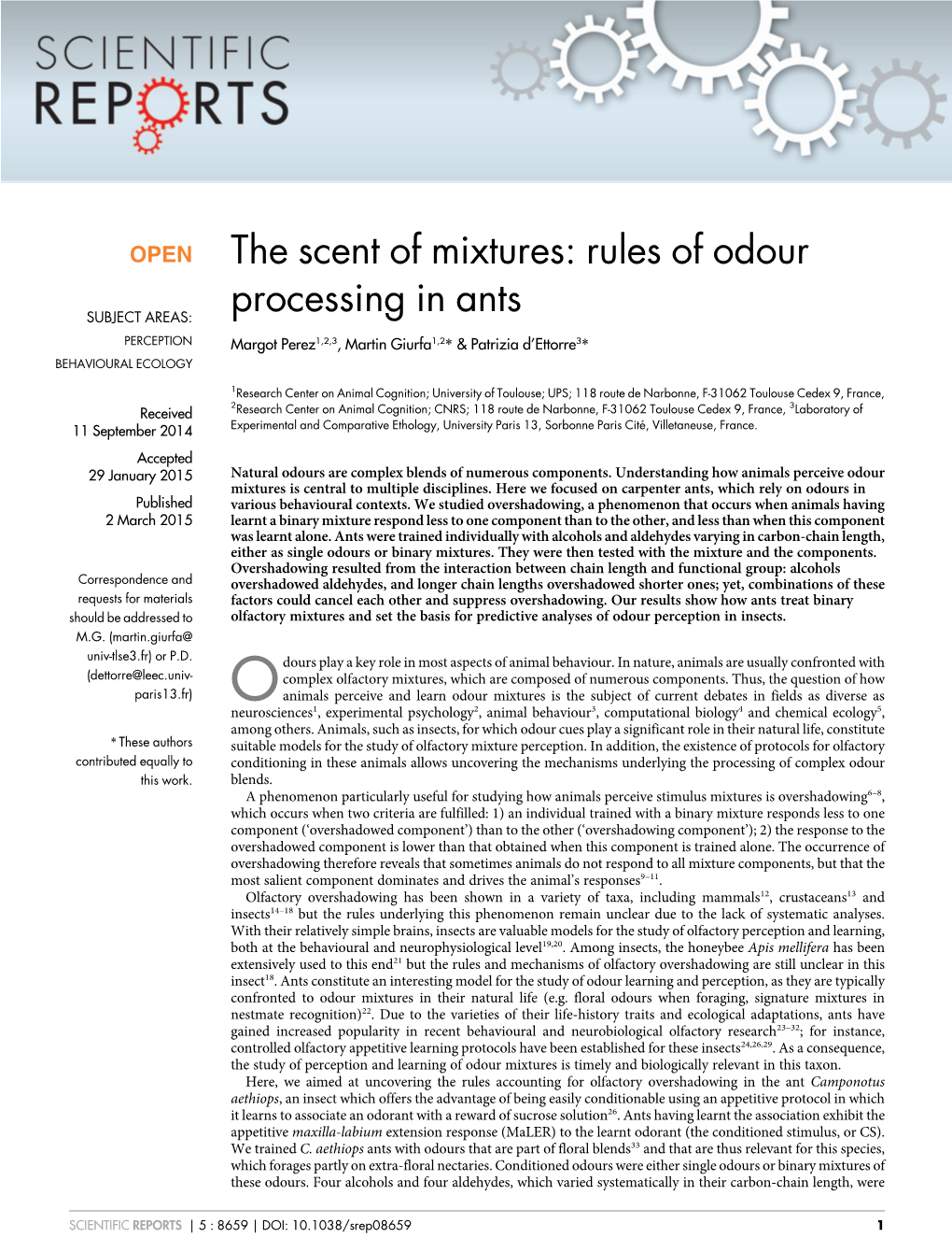 Rules of Odour Processing in Ants