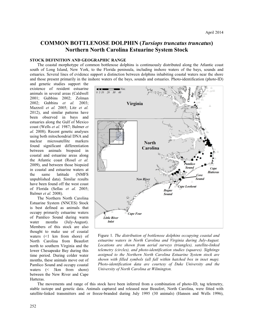 COMMON BOTTLENOSE DOLPHIN (Tursiops Truncatus Truncatus) Northern North Carolina Estuarine System Stock