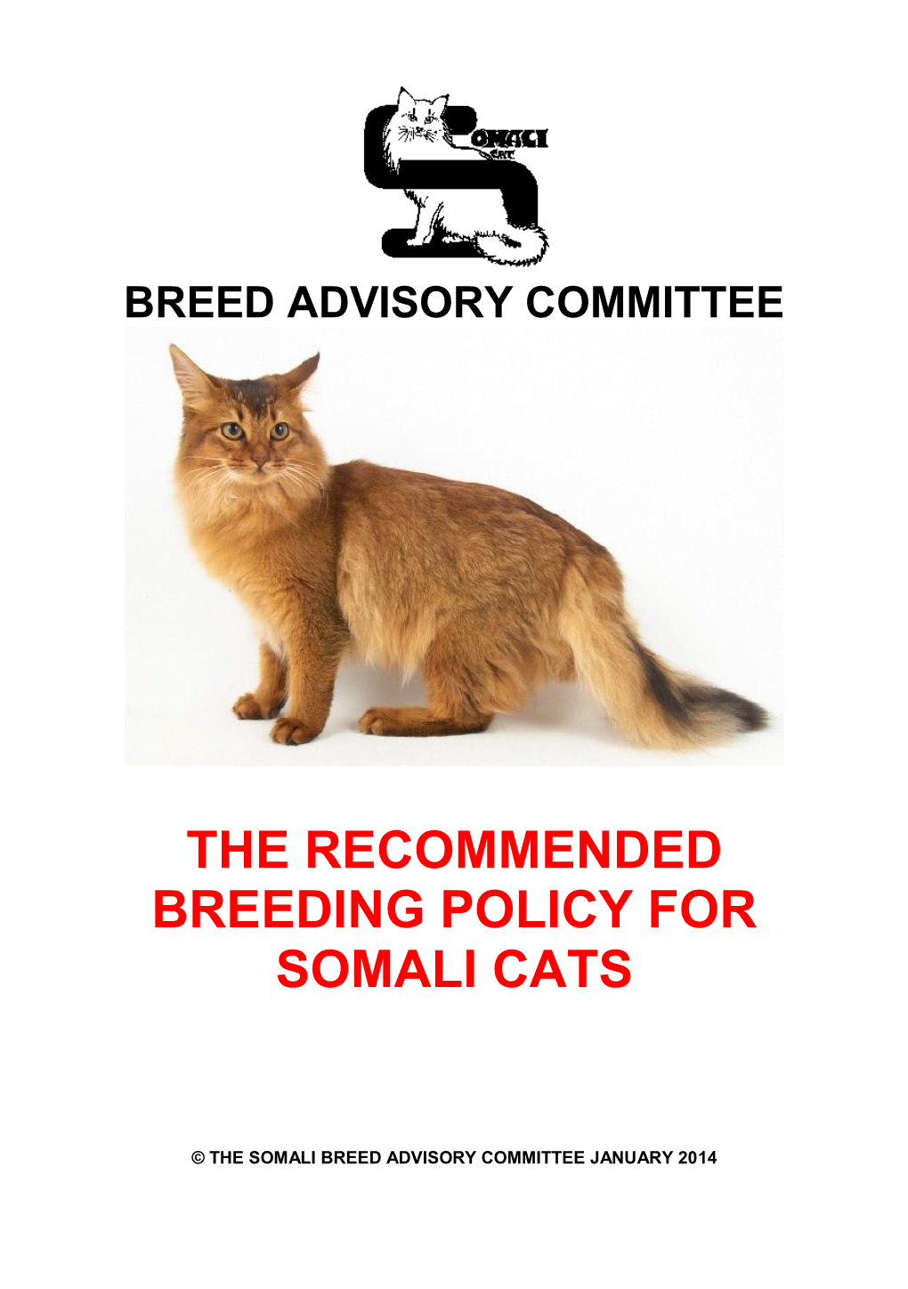 The Recommended Breeding Policy for Somali Cats