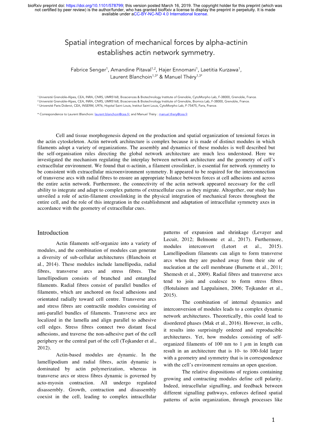 Spatial Integration of Mechanical Forces by Alpha-Actinin Establishes Actin Network Symmetry